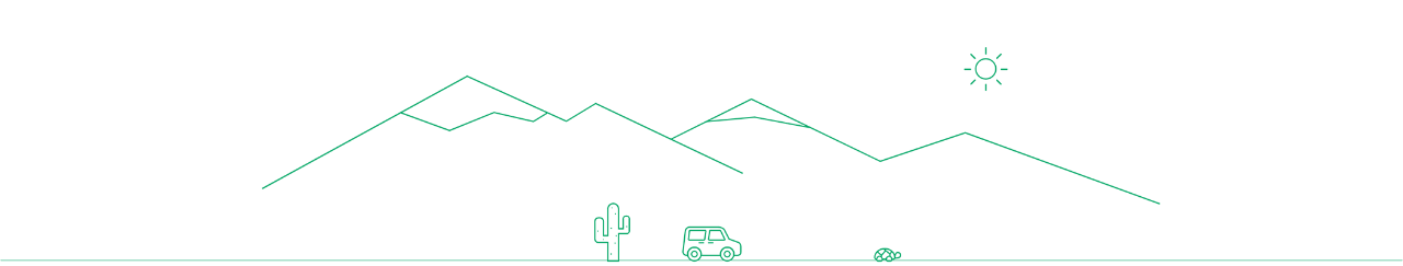 cactus-car-turtle