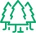 s-trees-ico@2x